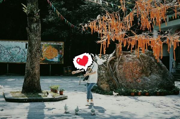 蒸汽时代的公主